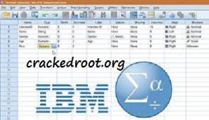 IBM SPSS Statistics Crack Serial Key